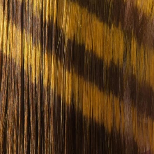 Xio Dimensional Touch Up Combo